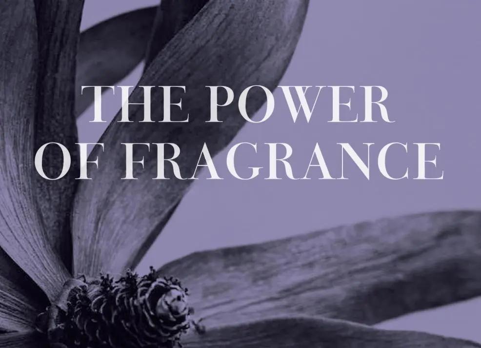 1756456391998246.jpg 640 (9)(1).jpg